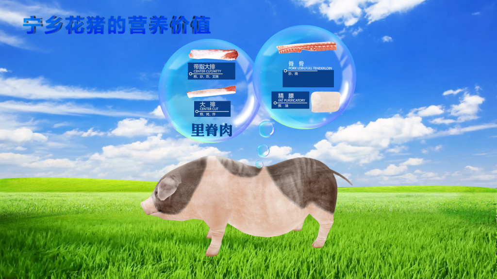 体感隔空操控|体感花猪展示