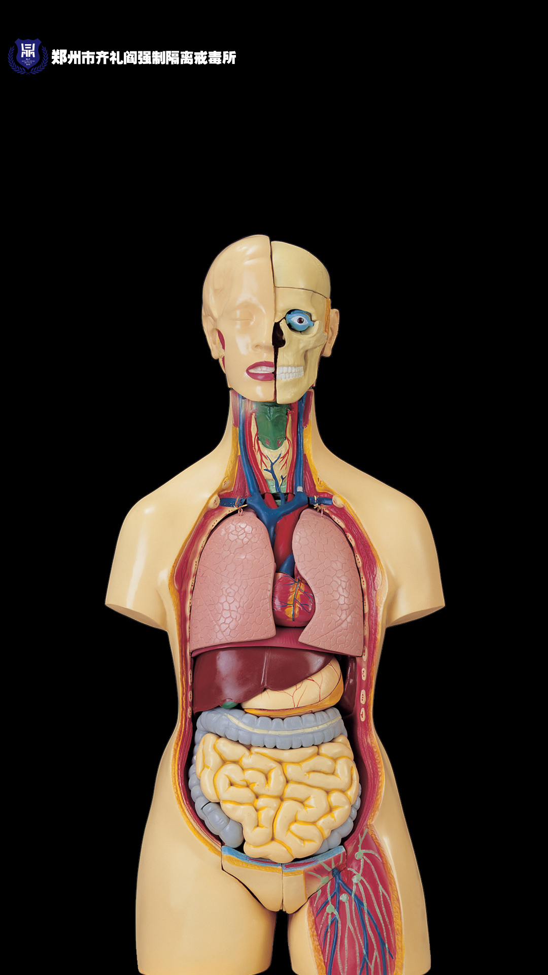 禁毒馆常用软件合集