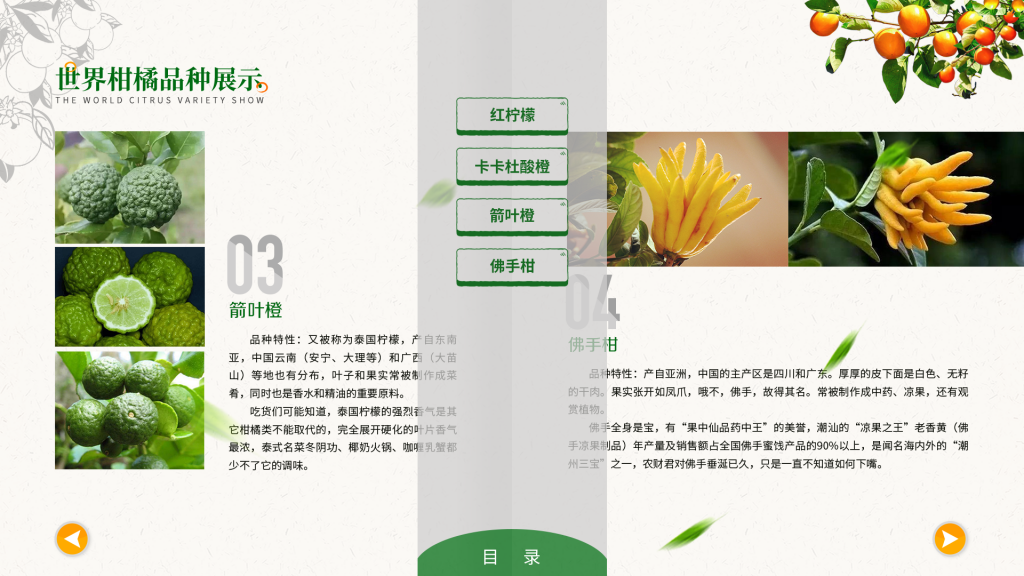 触摸翻书|电子翻书